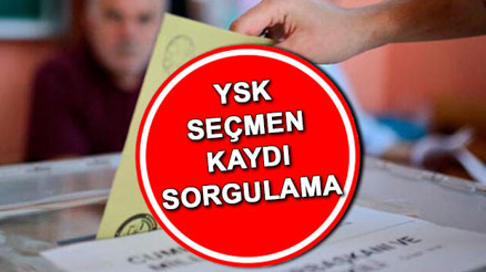 Seçmen kağıtları ne zaman dağıtılacak, nereden alınır | 2023 seçmen kaydı sorgulama e-Devlet  ekranı