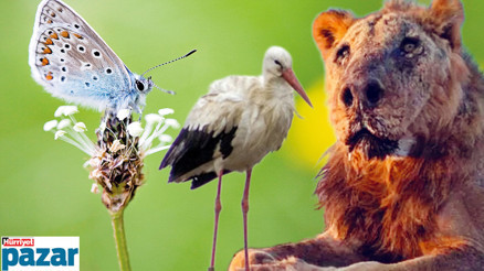 Neler oluyor hayatta...