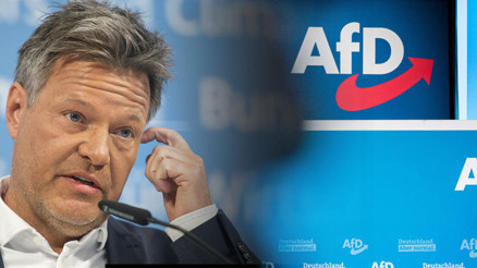 Habeck diplerde, AfD yükselişte