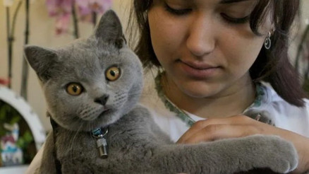 Adanada hırsızlık için girdiği çiçekçiden kedi çaldı