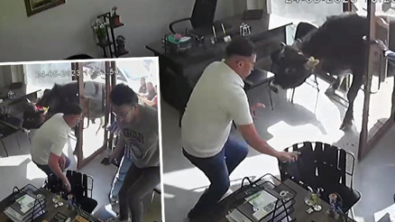 Mezbahadan kaçan boğa kamerada Emlakçıda panik anları