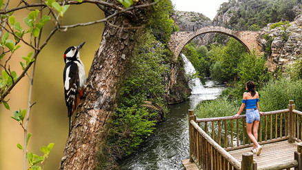 Sağlıklı bir yaşam için ilaç niteliğinde... Kuş sesleri içinde gezilecek adresler | 9 ŞEHİR 10 ÖNERİ