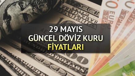 Bugün dolar (USD) ve Euro ne kadar 1 Dolar Kaç TL İşte 29 Mayıs döviz kuru fiyatlarında son durum