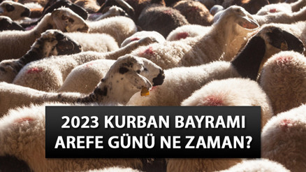 AREFE GÜNÜ TARİHİ 2023: Arefe günü ne zaman, ayın kaçında Arefe günü yarım gün mü, tatil mi 2023 Diyanet takvimi ile Kurban Bayramı günleri... AREFE GÜNÜ TARİHİ 2023: Arefe günü ne zaman, ayın kaçında Arefe günü yarım gün mü, tatil mi 2023 Diyanet takvimi ile Kurban Bayramı günleri...