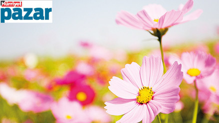 Biz iyiyiz, çevremiz kötü