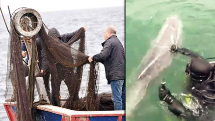 Hayalet ağdan ‘SAK’ kurtardı