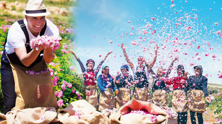 120 milyon TL yatırım yapmıştı... Sezonun ilk mahsullerini topladı