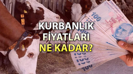 Kurbanlık fiyatları 2023: Bu yıl büyükbaş- küçükbaş kurbanlık fiyatları ne kadar, kaç TL olacak