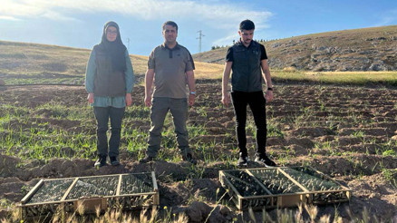 Sınır kapısında aracında 550 saka kuşu bulundu, 720 bin lira ceza uygulandı