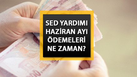 SED YARDIMI ÖDEME TARİHİ: SED ödemeleri ne zaman yatacak 2023 Haziran ayı SED ödemeleri hangi gün hesaba geçecek İşte e-Devlet sorgulama ekranı...