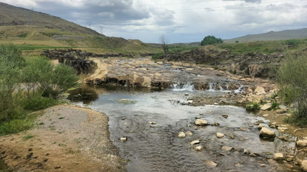İnci kefalinin göç yolundaki en büyük çay kuruma noktasına geldi