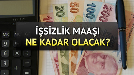 YENİ İŞSİZLİK MAAŞI TEMMUZ 2023 | İşsizlik maaşı ne kadar olacak, artacak mı Asgari ücret zammı ile tutarlar netleşecek İşte işsizlik maaşı zam oranı hesaplama bilgisi...