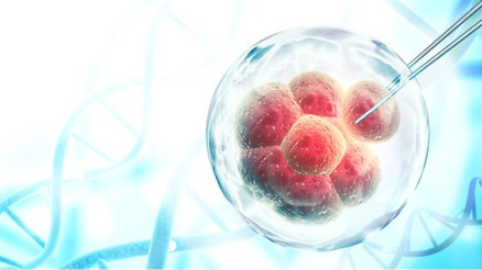 Dondurulmuş embriyo transferi hamilelik şansını artırır