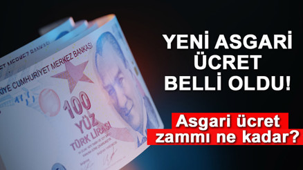 YENİ ASGARİ ÜCRET KAÇ TL OLDU, NE ZAMAN GEÇERLİ OLACAK 2023 Zam sonrası asgari ücret ne kadar oldu, yüzde kaç zam yapıldı İşte, Asgari ücret zam oranları ve yeni maaş tutarı...