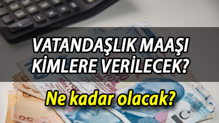 VATANDAŞLIK MAAŞI BAŞVURUSU: Vatandaşlık maaşı nedir, ne kadar verilecek, kimler alabilir İşte son durum gelişmeleri