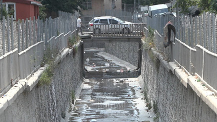 İstanbulda sivrisinek tedirginliği Bazen anafilaktoid dediğimiz reaksiyonlar gelişebilir