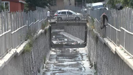 İstanbulda sivrisinek tedirginliği