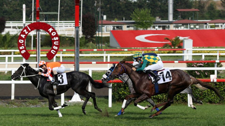 Ve muhteşem atlar Cumhuriyet’in 100. yılında Gazinin huzuruna çıkıyor