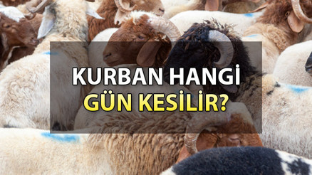 Kurban hangi gün kesilir (Diyanet) Kurban kesim vakti ne zaman başlar ve biter