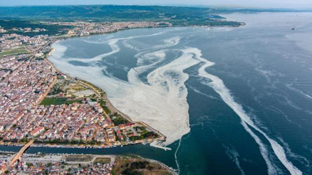 Prof. Dr. Sarı: Müsilaj bitmedi, alg çoğalmaları ekosistemin sinyal verdiğini gösteriyor