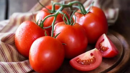 İçine domates çekirdeği düşüreceğiniz bir kitap