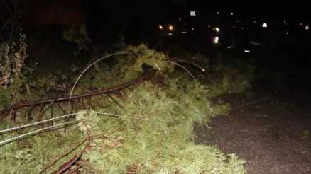 Fırtına Alaşehiri savaş alanına çevirdi... Ağaçlar devrildi, park halindeki araçlar zarar gördü