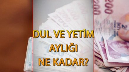 DUL VE YETİM MAAŞ NE KADAR OLDU (LİSTE LİSTE) || Temmuz ayı dul ve yetim maaşı kaç TL oldu, zamlandı mı İşte dul ve yetim aylığı sorgulama ekranı