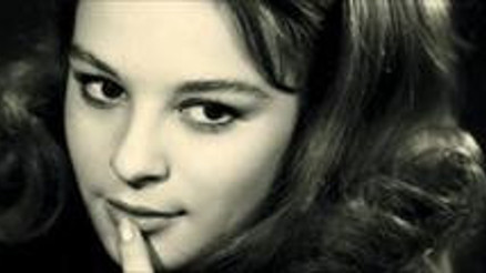 Haydi telefon başına