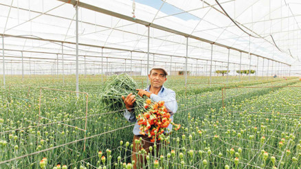 ‘Çiçeği iyi üretiyoruz ama pazarlayamıyoruz’
