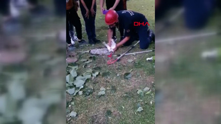 Beyoğlunda kedi kalp masajıyla hayata döndü