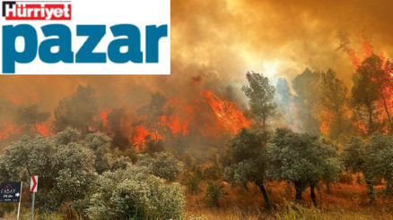 ‘Yangını çıkaran iklim krizi değil’