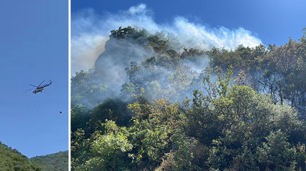 Bolu, Burdur, Muğla ve Bursa Uludağda orman yangını