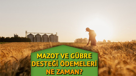 Mazot ve gübre desteği ödemeleri yattı mı, ne zaman yatacak İşte 2023 Temmuz ayı tarımsal destekleme ödeme takvimi