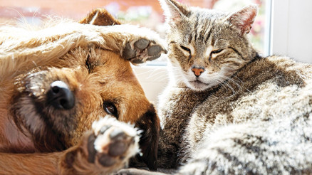 Şımarıklık mı yardım çağrısı mı Şımarıklık mı yardım çağrısı mı