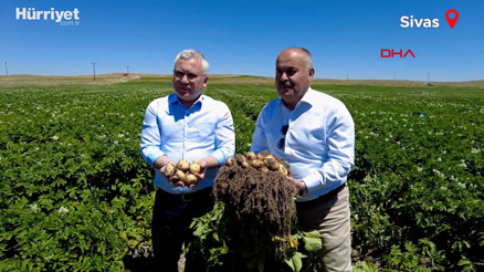 Sivasta rekor rekolte bekleniyor Sivasta rekor rekolte bekleniyor
