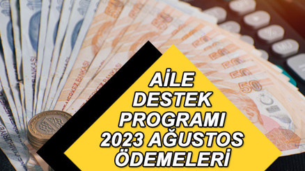 AĞUSTOS AYI AİLE DESTEK ÖDEMESİ yattı mı, ne zaman yatacak  Aile Destek Programı uzatıldı mı İşte e-Devlet aile destek parası sorgulama ekranı