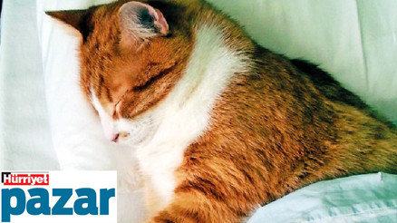 Acıya dayanmayı, sabırlı olmayı, mesafe koymayı... Acıya dayanmayı, sabırlı olmayı, mesafe koymayı...