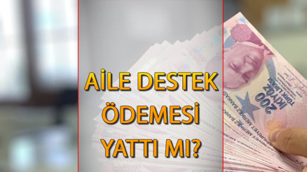 AİLE DESTEK ÖDEMESİ NE ZAMAN ZAMLI YATACAK  Ağustos ayı Aile Destek ödemeleri hangi gün hesaplara geçecek İşte e-Devlet sorgulama ekranı...