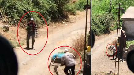 Diyarbakırda eşeğe şiddet kamerada