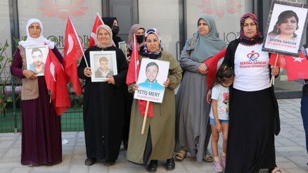 Vanda evlat nöbetindeki anne: Çocuklarımızı istiyoruz