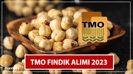 TMO FINDIK ALIM TARİHİ || TMO fındık randevu alma ekranı açıldı mı Fındık alımı ne zaman başlayacak 1 kg fındık alım fiyatı ne kadar, kaç TL Toprak Mahsulleri Ofisi açıkladı
