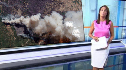 Yunan televizyonunda insanlık ayıbı: 18 göçmen dışında hiçbir insanımızı kaybetmedik