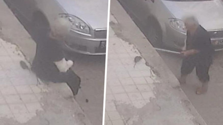 Kaldırımda otururken fare ısırdı... Panik anları kamerada