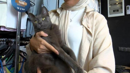 Esnafın sahiplendiği kedi köpeklere savaş açtı; o anlar kamerada