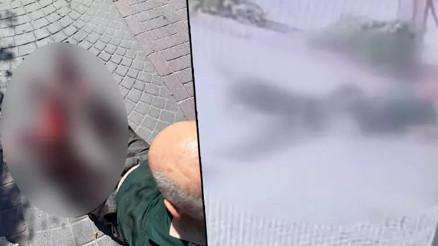 İstanbulda pitbull saldırısı Sahipleri yakalandı İstanbulda pitbull saldırısı Sahipleri yakalandı