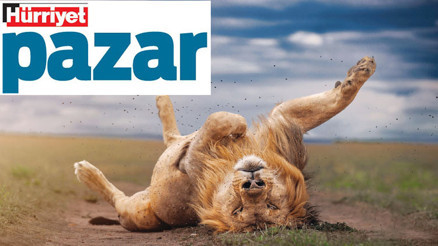 Oysa birlikte çok güzeliz