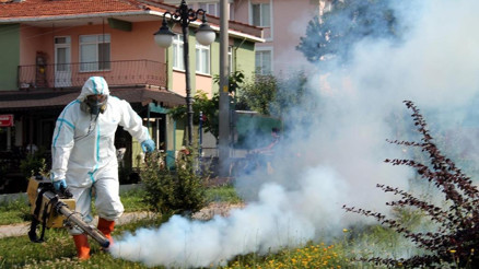 Sivrisinekle mücadelede üç kural: Uygun zaman, doğru dozaj, uygun hava