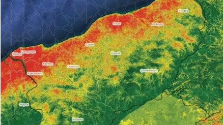 Doğu Karadenizde heyelanların en büyük nedeni açıklandı