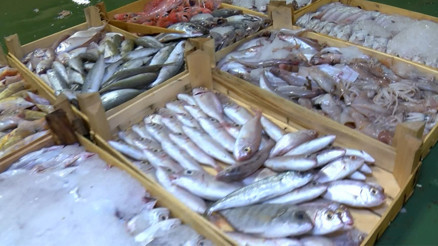 Gürpınarda sezonun ilk balık mezatı yapıldı