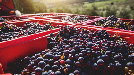 Şimdi ‘bağ’lanmanın tam zamanı Şimdi ‘bağ’lanmanın tam zamanı